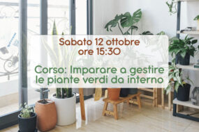 Corso: Imparare a gestire le piante verdi da interno