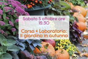 Corso + Laboratorio: Il giardino in autunno