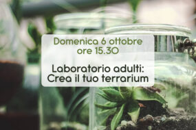 Laboratorio adulti: Crea il tuo terrarium