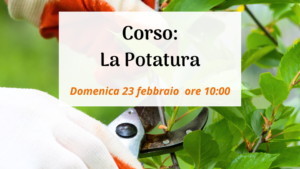 corso potatura piante